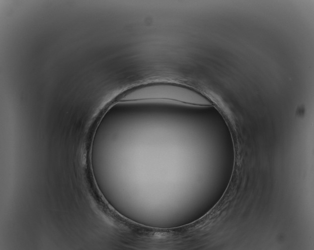 X0000090440060200707131039