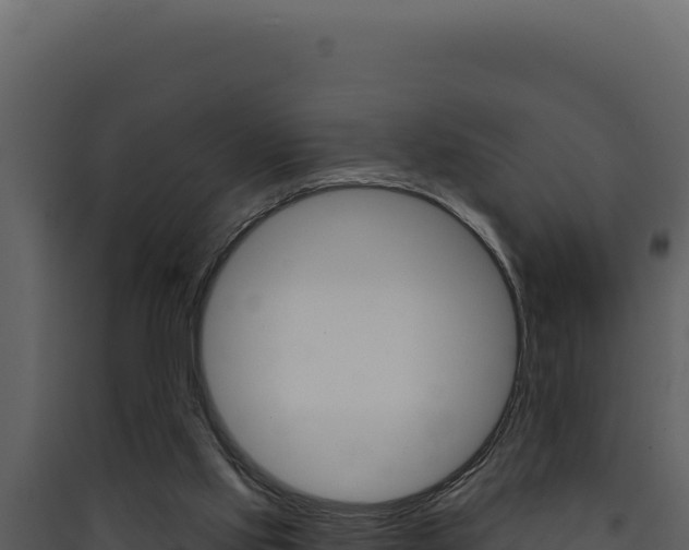 X0000090440061200707131039