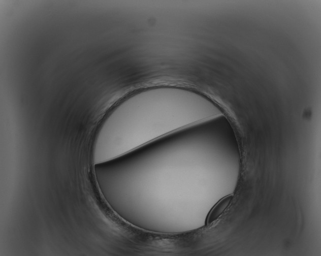 X0000090440062200707131039