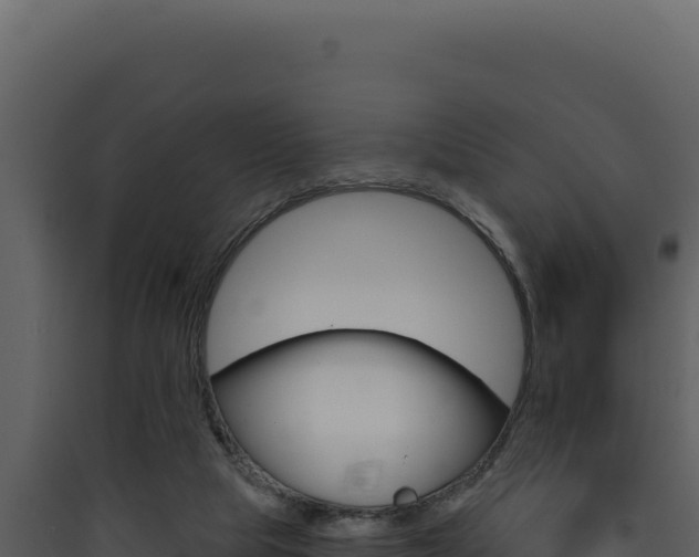 X0000090440065200707131039
