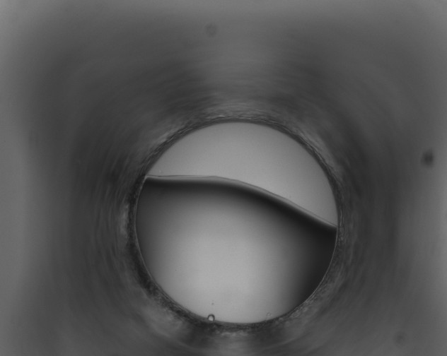 X0000090440066200707131039