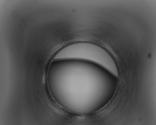 X0000090440068200707131039