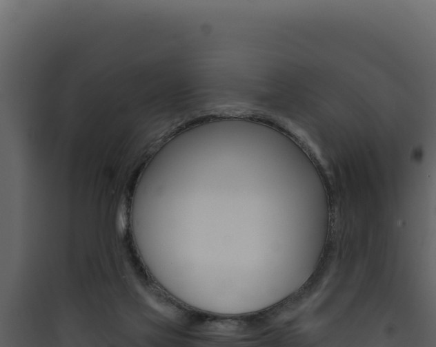 X0000090440069200707131039
