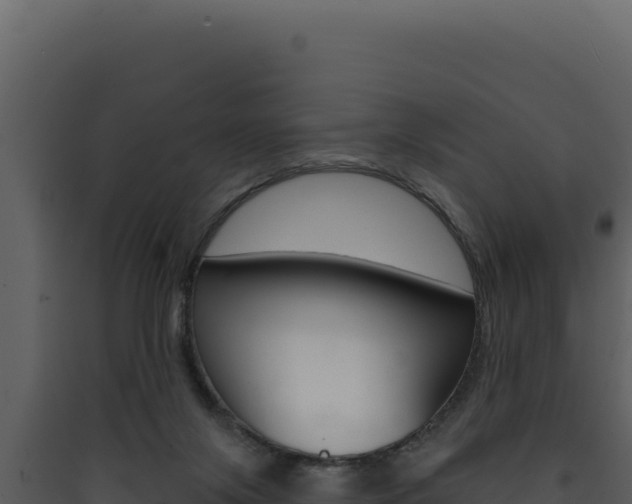 X0000090440071200707131039