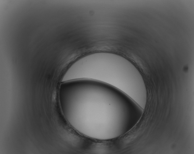 X0000090440072200707131040