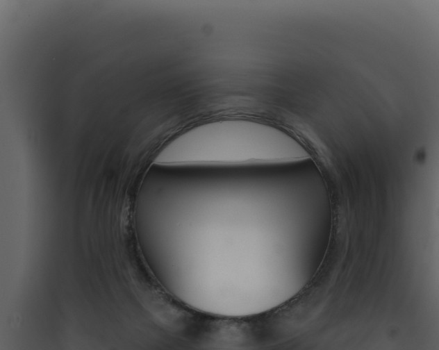 X0000090440073200707131040