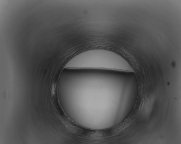 X0000090440075200707131040