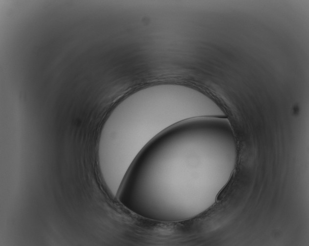X0000090440076200707131040
