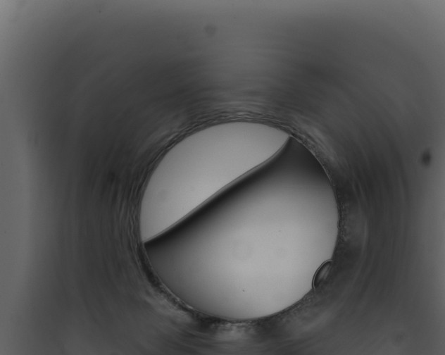 X0000090440077200707131040