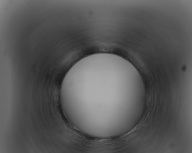 X0000090440078200707131040