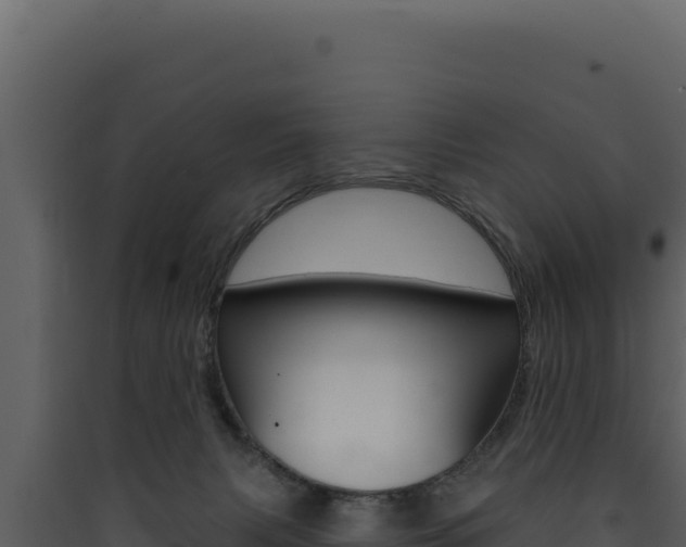 X0000090440079200707131040