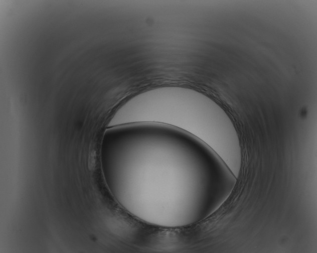 X0000090440080200707131040