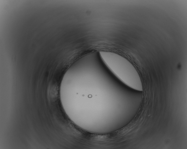 X0000090440081200707131040