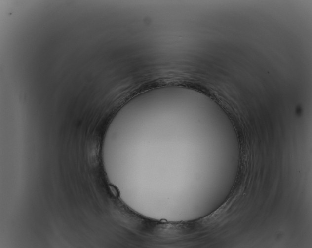 X0000090440082200707131040