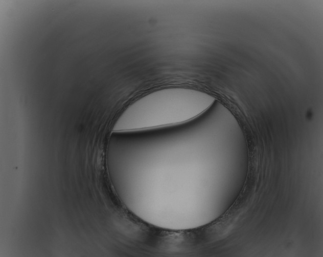 X0000090440083200707131040