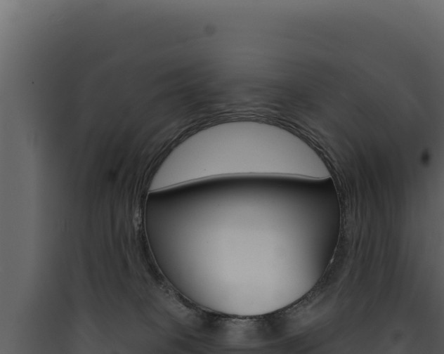 X0000090440085200707131040