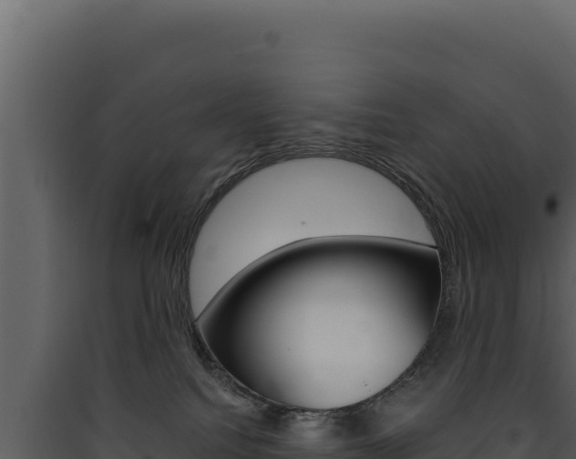 X0000090440088200707131040