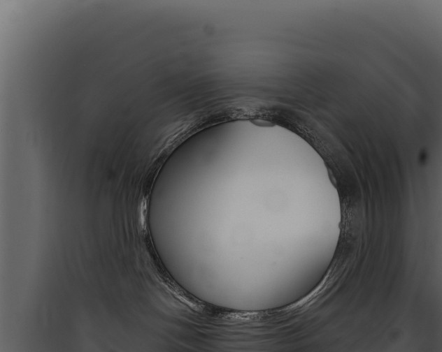 X0000090440094200707131040