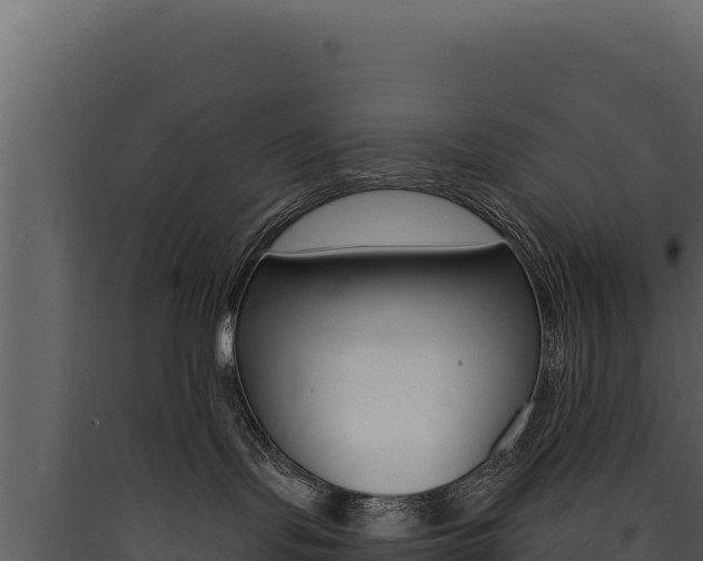 X0000090440095200707131040