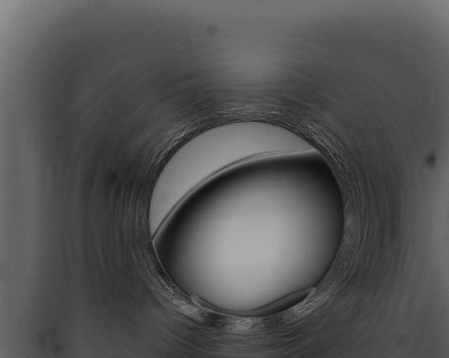 X0000090440096200707131040