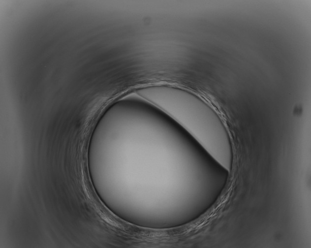 X0000090440097200707131039
