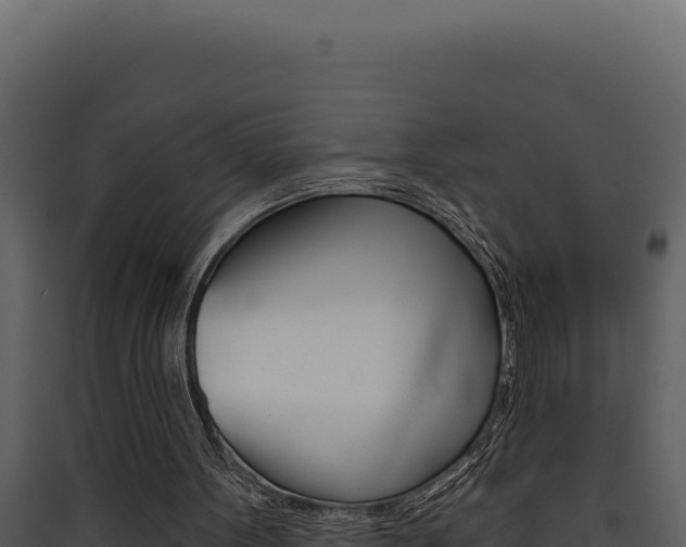 X0000090440099200707131039