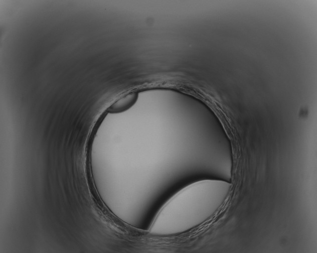 X0000090440100200707131039