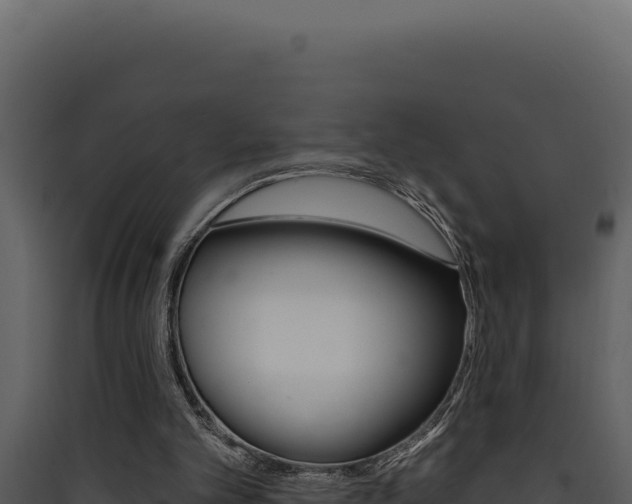 X0000090440101200707131039
