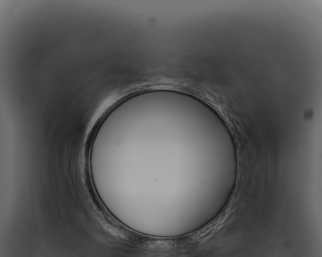 X0000090440102200707131039