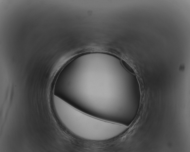 X0000090440103200707131039