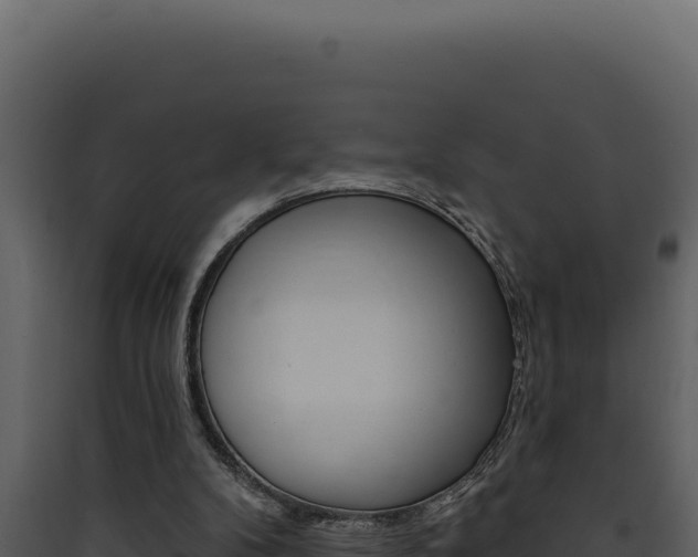 X0000090440104200707131039
