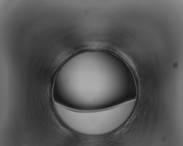 X0000090440105200707131039