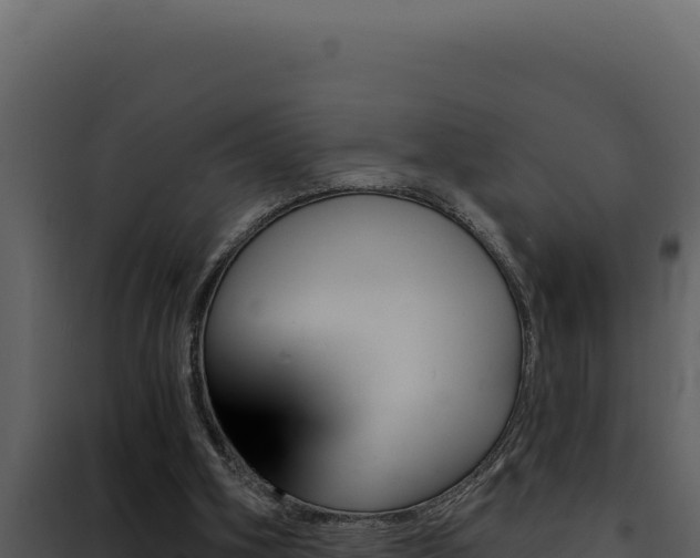 X0000090440106200707131039