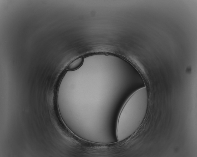 X0000090440108200707131039