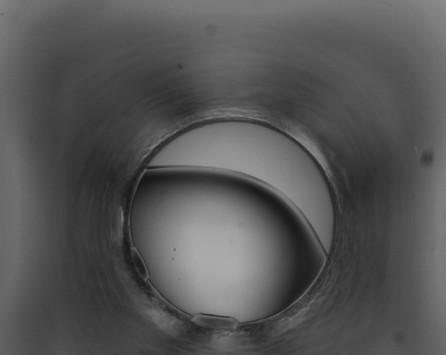 X0000090440109200707131039