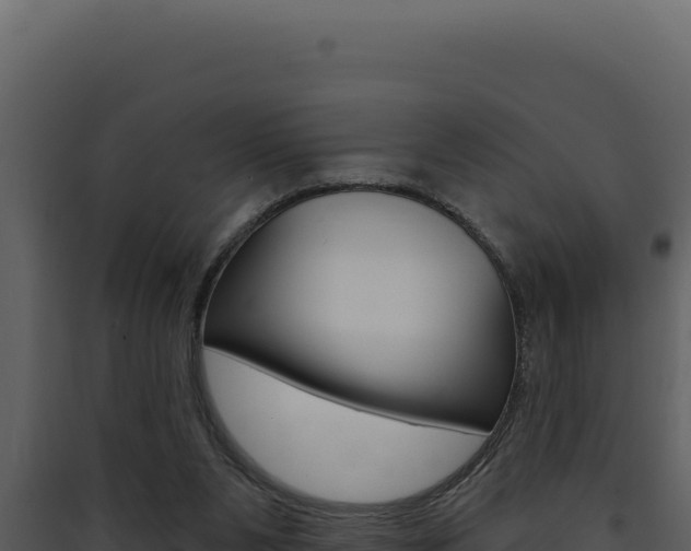 X0000090440111200707131039