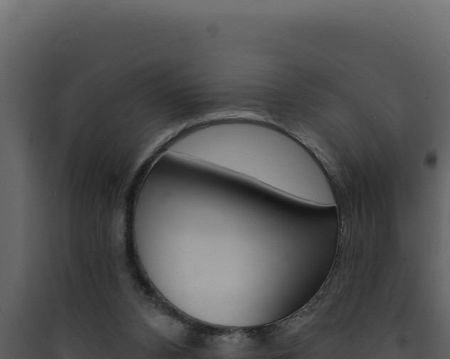 X0000090440112200707131039