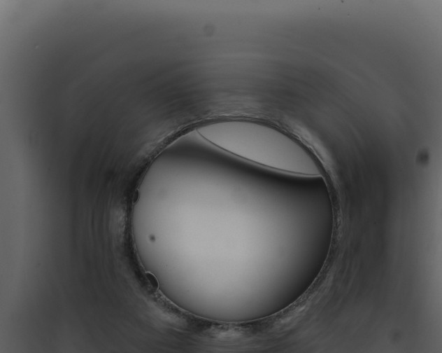 X0000090440113200707131039