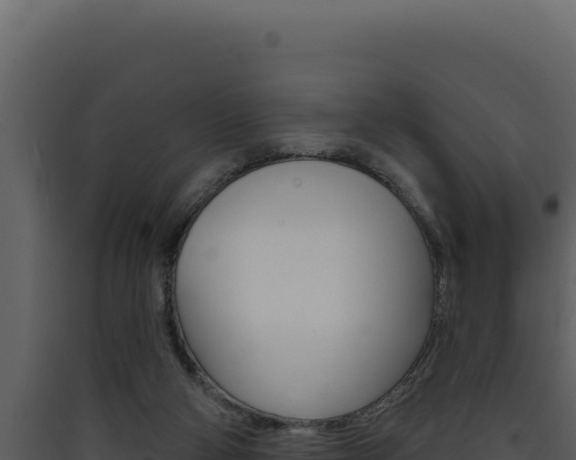 X0000090440114200707131039