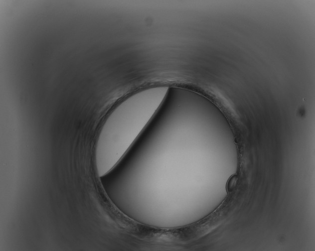 X0000090440115200707131039