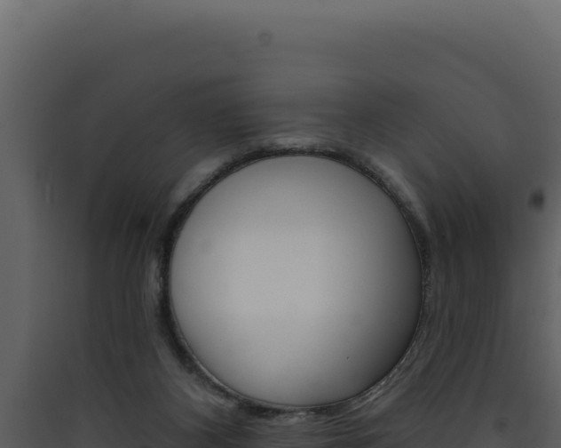 X0000090440116200707131039