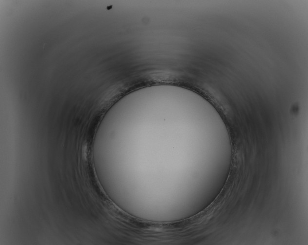 X0000090440117200707131039