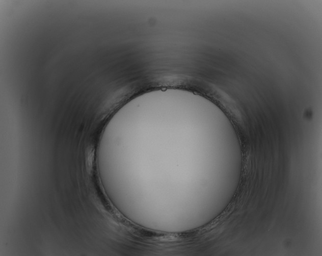 X0000090440118200707131039