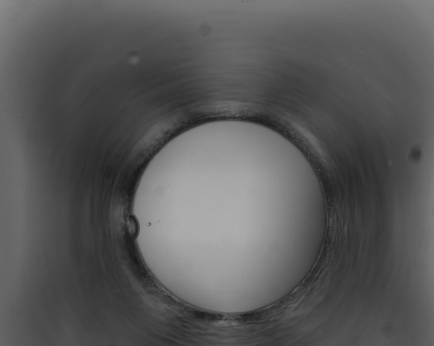 X0000090440119200707131039