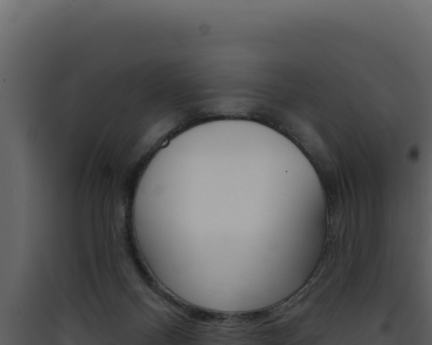 X0000090440120200707131039