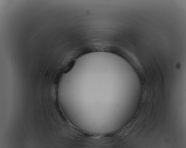 X0000090440121200707131039