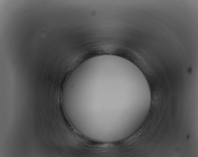 X0000090440122200707131039