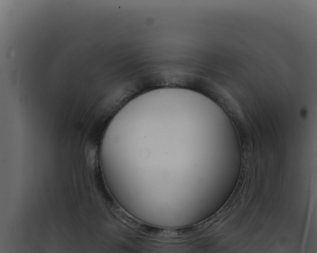 X0000090440123200707131039