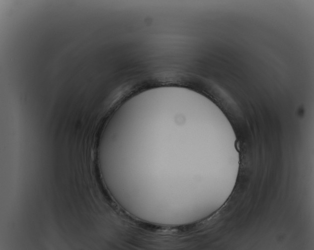 X0000090440124200707131039