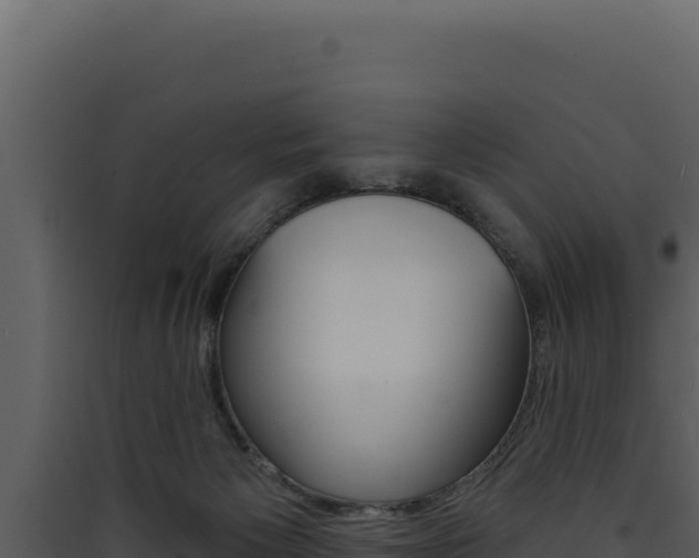 X0000090440125200707131039
